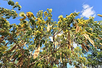 《暗影火炬城》免费试玩版现已在Steam上线