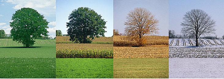 催泪名作《Kanon》Switch发售 Key社成立后首部游戏